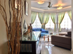 Cozy Kelana Jaya Semi-D Apt near Mall, College & Hospital